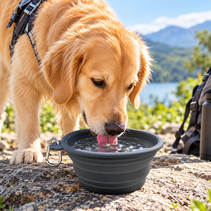 Collapsible Silicone Pet Bowl
