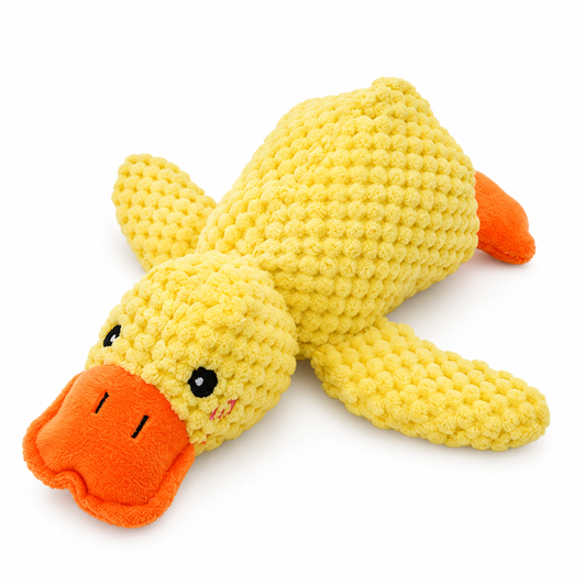 Squeaky Charge Duck Pet Toy